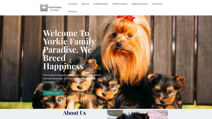 Yorkiefamilyparadise.net - Yorkshire Terrier Puppy Scam Review