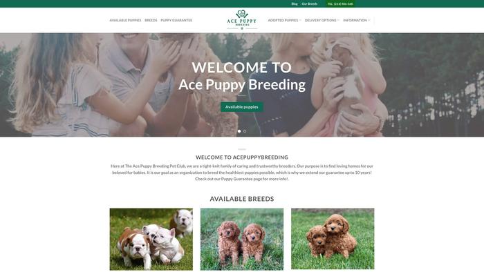 Acepuppybreeding.com - Pomeranian Puppy Scam Review