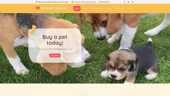 Adorablebeaglepuppies.dog - Beagle Puppy Scam Review