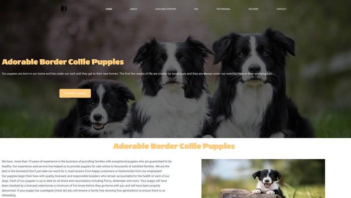 Adorablebordercolliepup.com - Bordercollie Puppy Scam Review