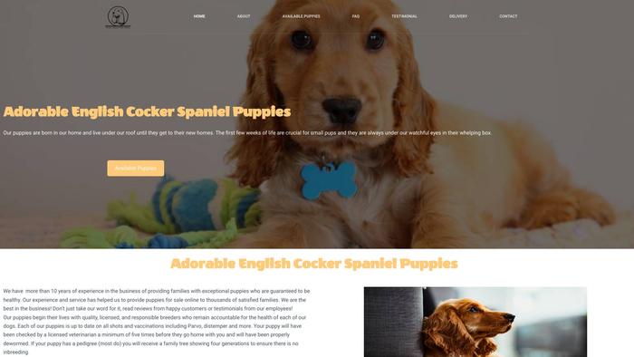 Adorableenglishcockerspanielpuppies.com - Cockerspaniel Puppy Scam Review