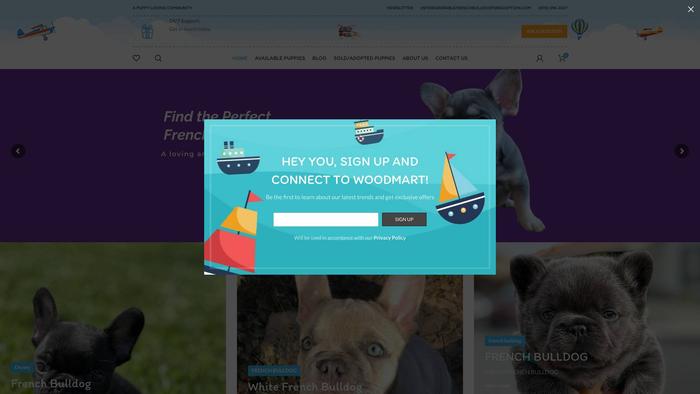 Adorablefrenchbulldogforadoption.com - French Bulldog Puppy Scam Review