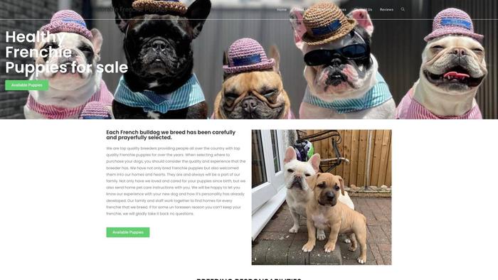 Adorablefrenchiesforsale.store - French Bulldog Puppy Scam Review