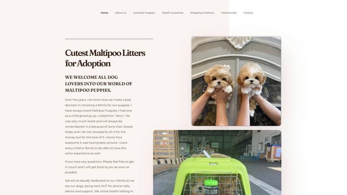 Adorablemaltipoolitters.us - Maltipoo Puppy Scam Review