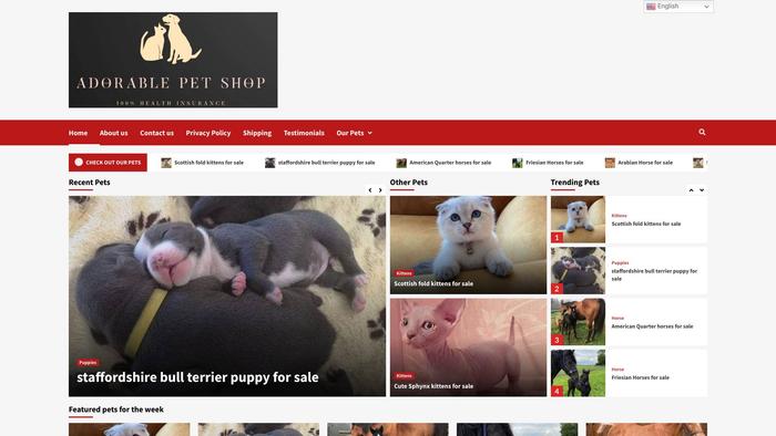 Adorablepetsstore.com - Pomeranian Puppy Scam Review