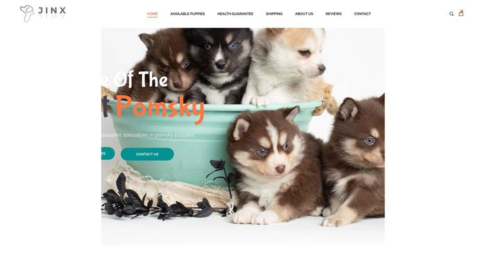 Adorablepomskypuppies.com - Pomeranian Puppy Scam Review