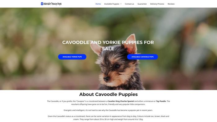 Adorableteacuppups.com - Yorkshire Terrier Puppy Scam Review