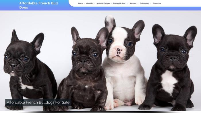 Affordablefrenchbulldogs.com - French Bulldog Puppy Scam Review