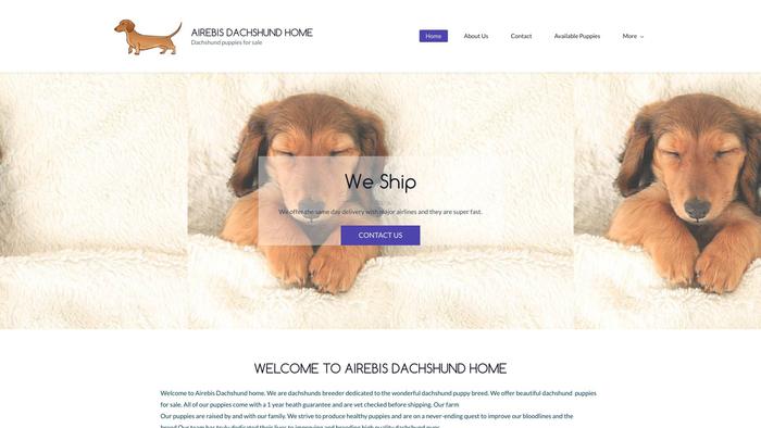 Airbdachshunds.com - Dachshund Puppy Scam Review