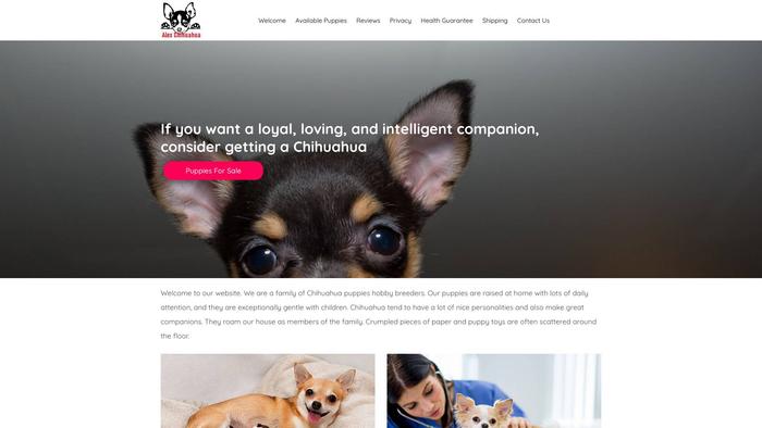 Alexchihuahuahome.com - Chihuahua Puppy Scam Review