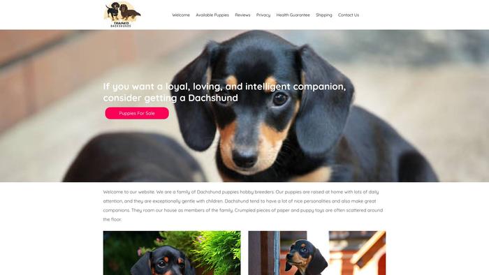 Alexdachshunds.com - Dachshund Puppy Scam Review