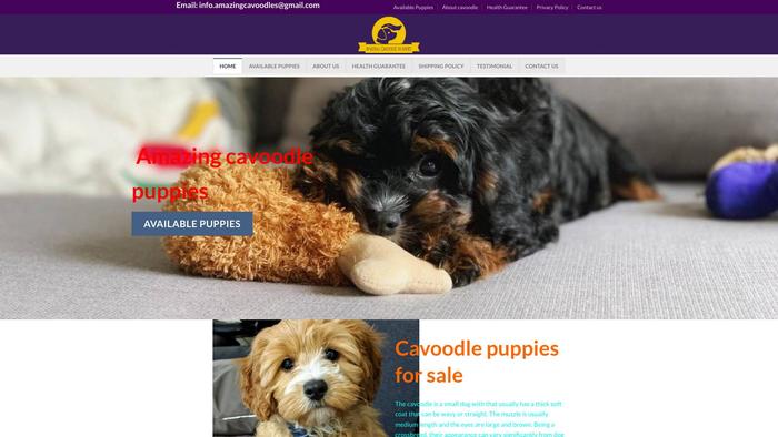 Amazingcavoodlepuppies.com - Cavapoo Puppy Scam Review