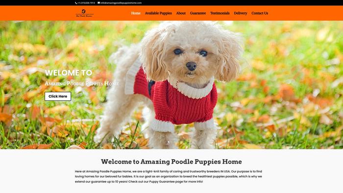 Amazingpoodlepuppieshome.com - Poodle Puppy Scam Review