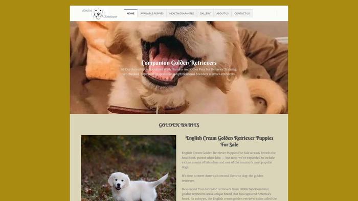 Amicagoldenretriever.com - Golden Retriever Puppy Scam Review