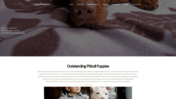 Angelicpitbullhome.com - Pit Bull Puppy Scam Review