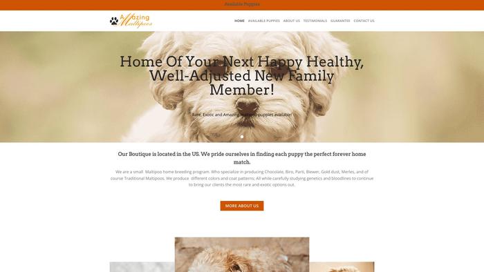 Anniemaltipoos.com - Maltipoo Puppy Scam Review