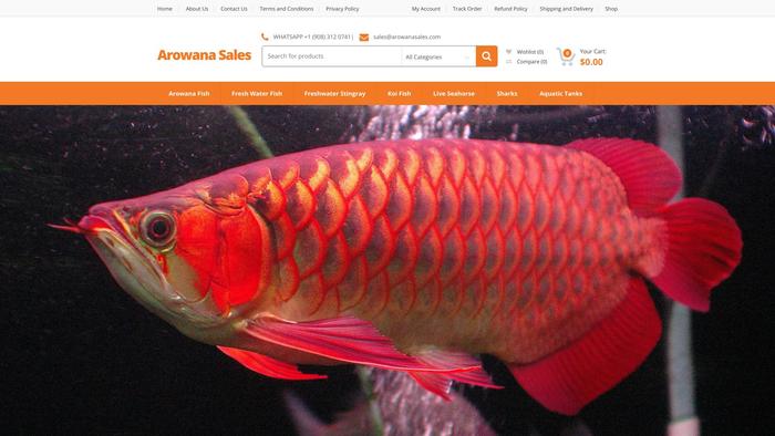 Arowanasales.com - Arowana Puppy Scam Review