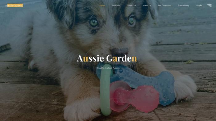 Aussiepupgarden.com - Australian Shepherd Puppy Scam Review