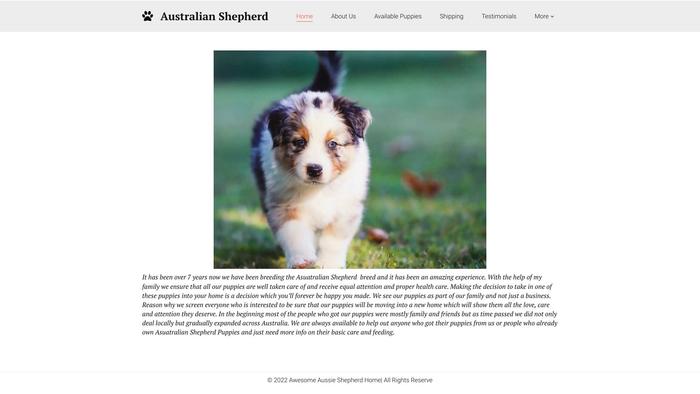 Awesomeaussieshepherd.com - Australian Shepherd Puppy Scam Review