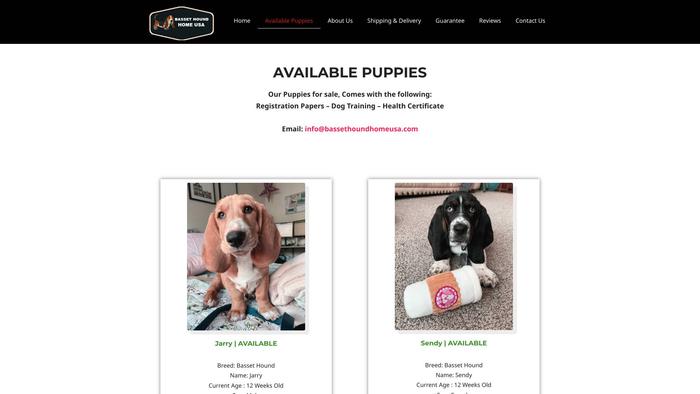 Bassethoundhomeusa.com - Bassethound Puppy Scam Review