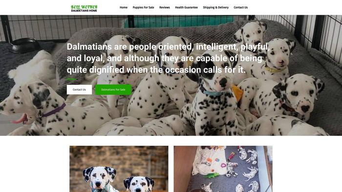 Bellwetherdalmatianshome.com - Labrador Puppy Scam Review