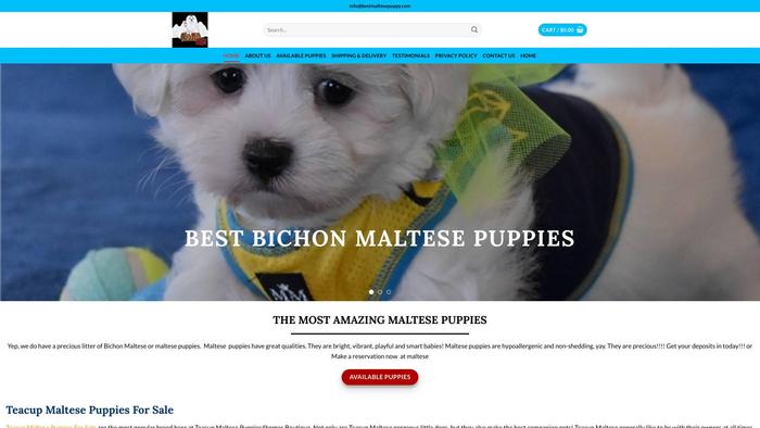 Bestmaltesepuppy.com - Maltese Puppy Scam Review