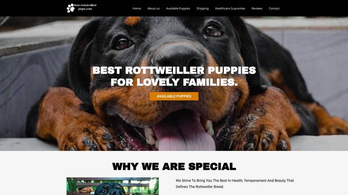 Bestrottweillerpups.com - Rottweiler Puppy Scam Review