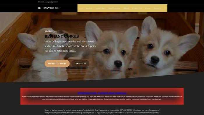 Bethanycorgis.com - Corgi Puppy Scam Review