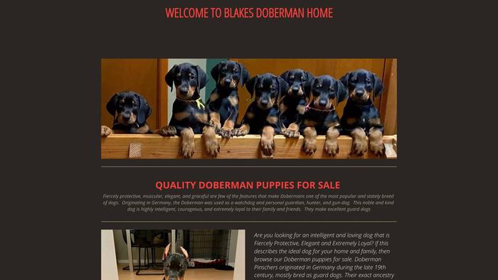 Blakesdobermanhome.net - Doberman Pinscher Puppy Scam Review