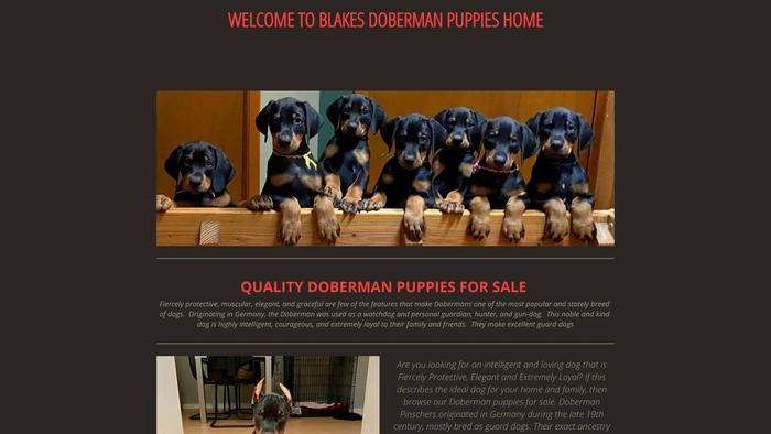 Blakesdobermanpups.net - Doberman Pinscher Puppy Scam Review