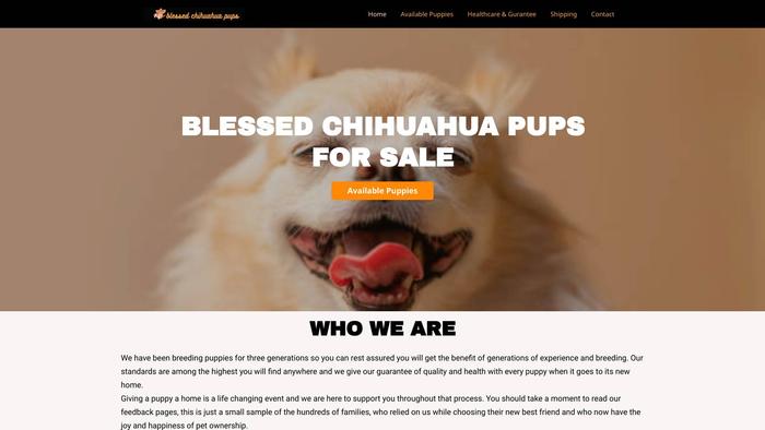 Blessedchihuahuapupsforsale.com - Chihuahua Puppy Scam Review