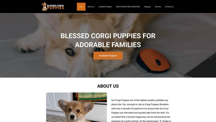 Blessedcorgipups.com - Corgi Puppy Scam Review