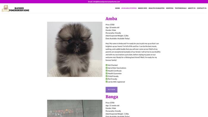 Blessedpomeranianhome.com - Pomeranian Puppy Scam Review