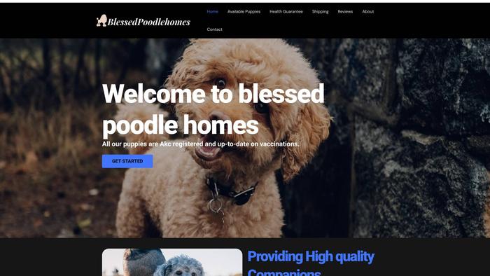 Blessedpoodlehomes.com - Poodle Puppy Scam Review