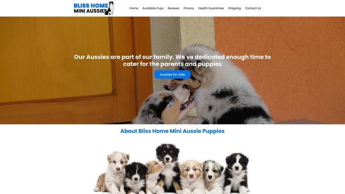 Blisshomeminiaussiepuppies.com - Australian Shepherd Puppy Scam Review