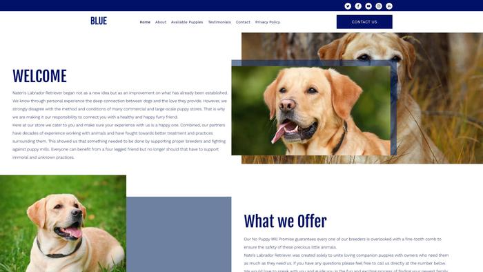 Blueslabradorretriever.com - Golden Retriever Puppy Scam Review