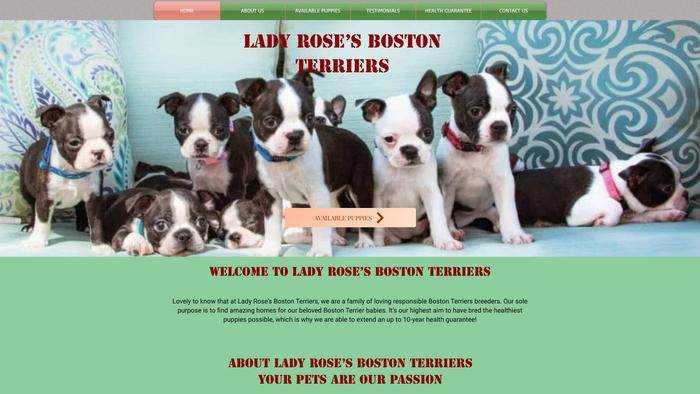 Bostonterrierlovershome.com - Terrier Puppy Scam Review