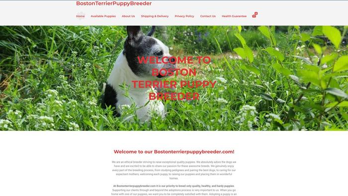 Bostonterrierpuppybreeder.com - Terrier Puppy Scam Review