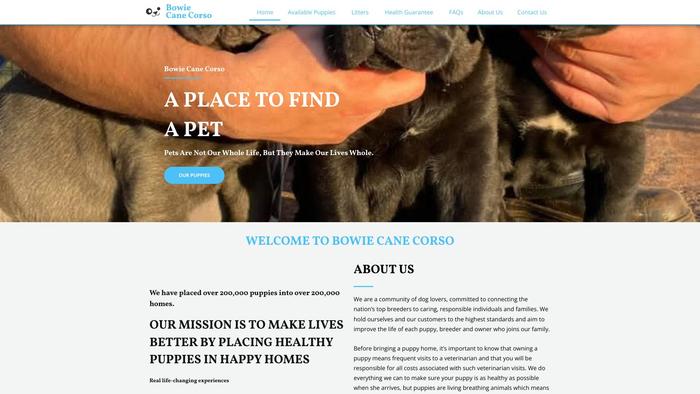 Bowiecanecorso.com - Cane Corso Puppy Scam Review