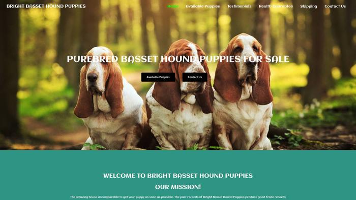 Brightbassethoundpuppies.com - Bassethound Puppy Scam Review