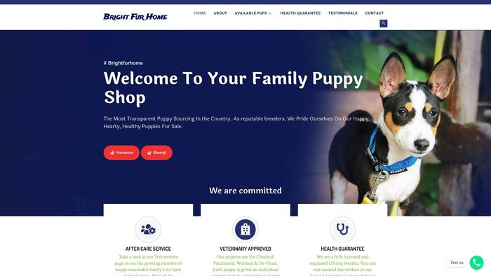 Brightfurhome.com - Pug Puppy Scam Review