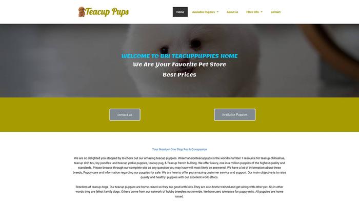 Briteacupuppieshome.com - Yorkshire Terrier Puppy Scam Review