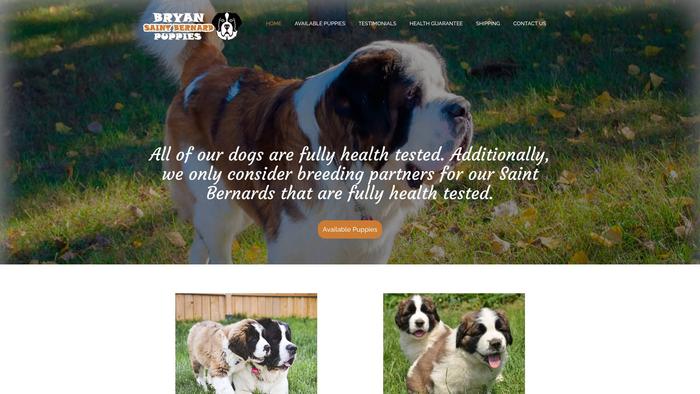 Bryansaintbernardpuppies.com - Saint Bernard Puppy Scam Review