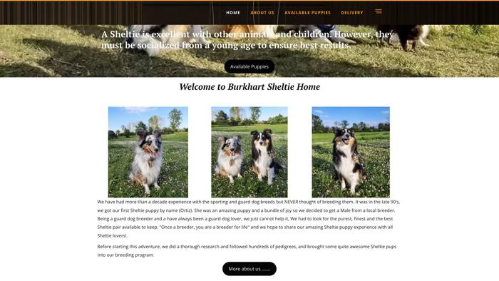 Burkhartsheltie.store - Sheltie Puppy Scam Review