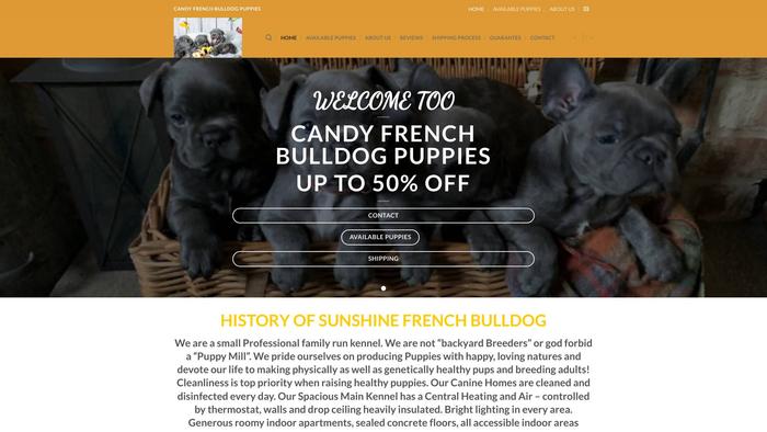 Candyfrenchbulldogpuppies.com - French Bulldog Puppy Scam Review