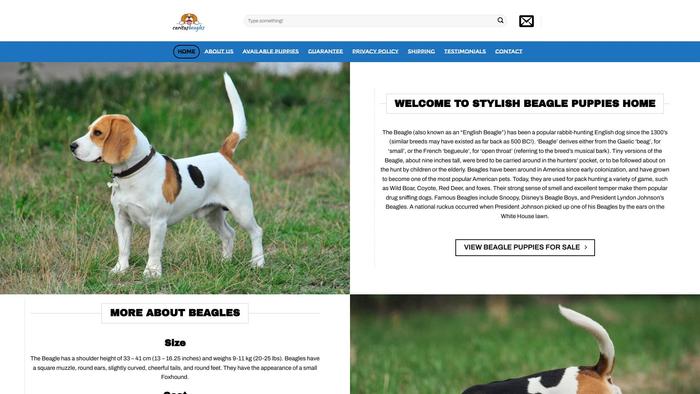 Caritasbeagles.com - Beagle Puppy Scam Review