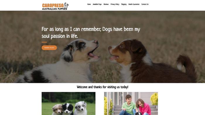 Caropresoaustralianpuppies.com - Australian Shepherd Puppy Scam Review