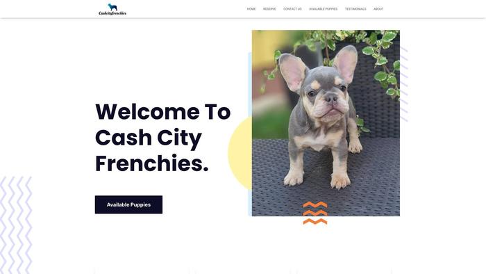 Cashcityfrenchies.com - French Bulldog Puppy Scam Review