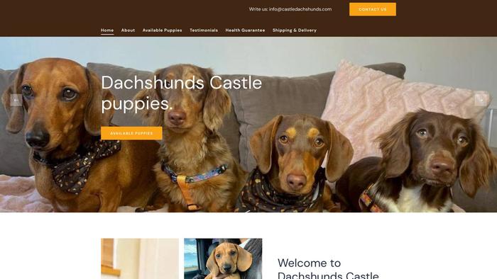 Castledachshunds.com - Dachshund Puppy Scam Review