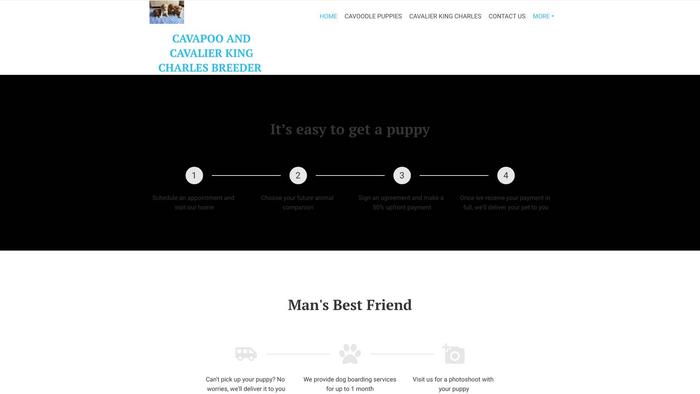 Cavalier-cavapoo-puppies.com - Cavalier King Charles Spaniel Puppy Scam Review